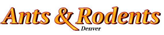 Denver Ant Exterminator & Rodent Control Company Logo